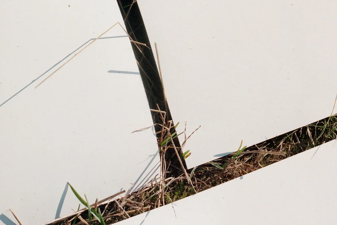 afbeelding papier in gras