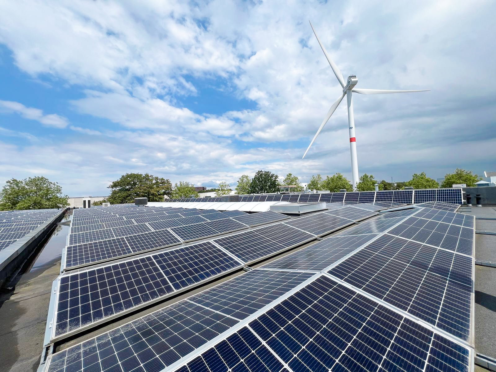 Zwartopwit werkt op groene energie 