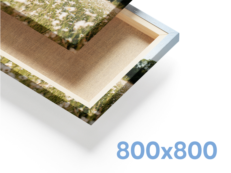 canvas 800x800