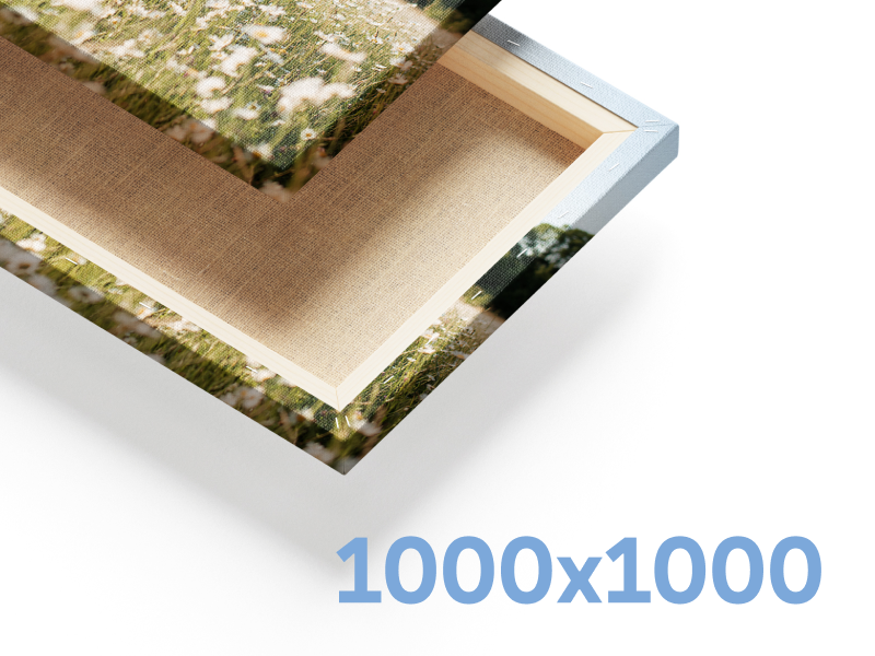 canvas 1000x1000