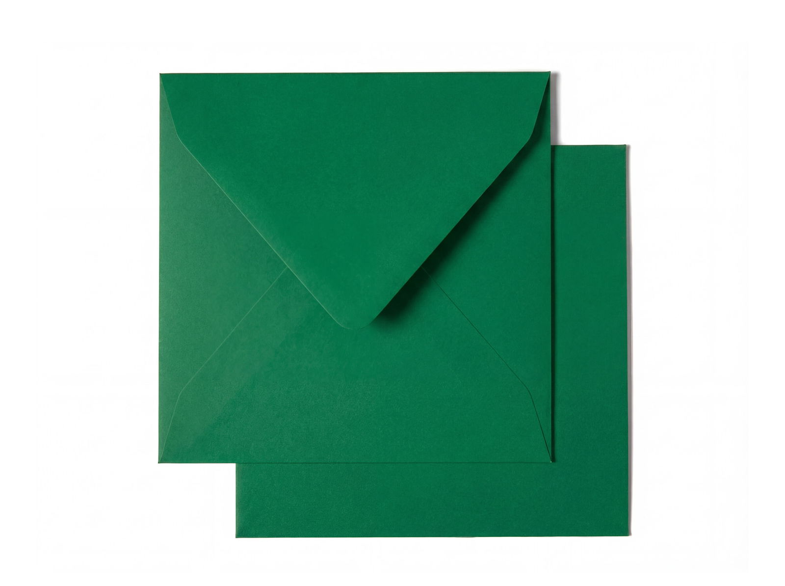 envelop carre 165 amazone