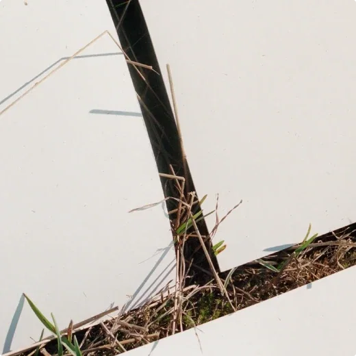 Vellen papier die op gras liggen.