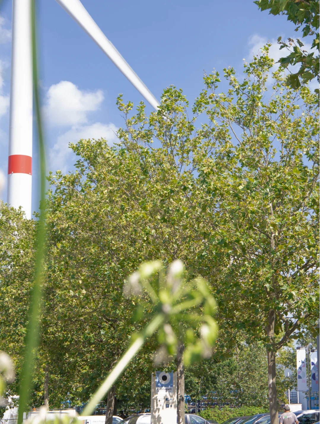 Omgeving van zwartopwit met groen en de duurzame windmolen.